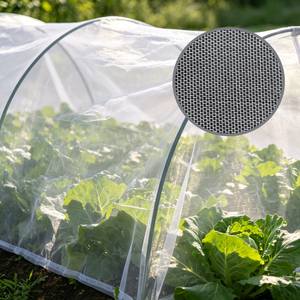 Filet anti-insectes en HDPE sur mesure, transparent, pour la <span class=keywords><strong>protection</strong></span> des cultures, des légumes-feuilles et des fraises - Product Image 1
