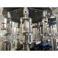 Machine de remplissage de bouteilles en verre contrôlée par PLC intelligent, solution d'emballage robuste par gravité pour les boissons au thé et au café