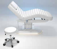 Table de massage électrique incurvée pour soins du visage, lit de massage portable, ensemble de mobilier de salon avec éponge haute densité et conception durable