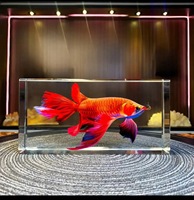 Ornement de boule de verre porte-bonheur Feng Shui chinois pour bureau, statue attirant la richesse