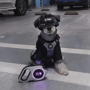 Guinzaglio per cani Premium LED con personalizzazione del Logo con cavo in Nylon rotante a 360 ° e caricatore USB - Product Image 6