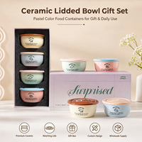 Bol en céramique avec couvercle, couleur sous-glaçure, fraîcheur garantie, mignon, hermétique, compatible micro-ondes, pour fruits, salades, petit-déjeuner, yaourt, riz, petite boîte à lunch