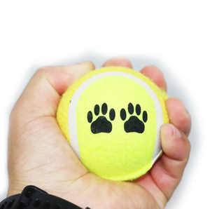Produttori di fabbrica all'ingrosso giocattolo interattivo per animali domestici palle da Tennis giocattoli per cani - Product Image 5