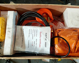 Suministro Directo de Fábrica: Polipasto Eléctrico de Cadena Tipo Carro HHBB de 1, 2, 3, 5, 10 Toneladas o Tipo Gancho para Elevación - Product Image 6