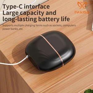 Peigne lisseur électrique USB à chauffage rapide PAKISS - Utilisation domestique, OEM/Vente en gros, prêt pour le marché mondial - Product Image 5