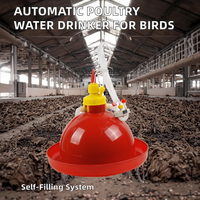 Nouvelle abreuvoir automatique pour poulets MuDuoDuo MDC65 0,6 kg, provenant du Hubei, Chine, pour les éleveurs de canards, d'oies et de poulets de chair