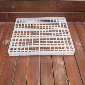 <span class=keywords><strong>221</strong></span>หลุมพลาสติกถาดไข่นกกระทา,ลังไข่ - Product Image 4