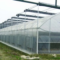Serre agricole Système hydroponique Film PE/PVC Serres agricoles Serre agricole