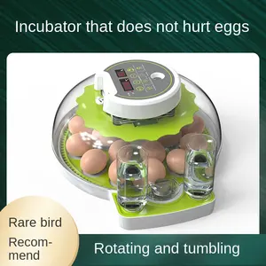Trứng lồng ấp lần lượt khay gia cầm Thiết bị ấp gà vịt khác lồng ấp gia cầm tự động biến trứng mới 12 lỗ