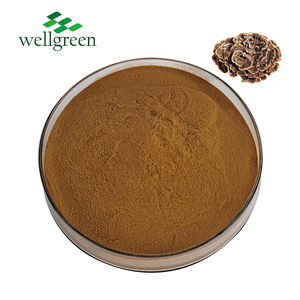 Wellgreen 8 en 1 premezcla de polvo de extracto de hongo orgánico premezcla polvo de café de hongo - Product Image 5