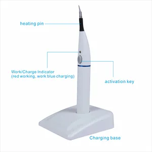 Draadloze Tandheelkundige Irrigator Tandheelkundige Instrument Endo Schoonmaken Endo Bestand Sonische Activator Voor Wortelkanaalreiniging Met 60 Stuks Tip