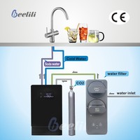 Beelili Compact taille Sous le comptoir refroidisseur d'eau 2L réservoir eau froide 5L/H et mousseux pour la cuisine