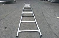 Echelle de Singe Echafaudage Ringlock Tube Acier Galvanise Echelle de Chantier a Crochets Acces Escalier Securite Passerelle