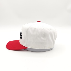 Casquette de baseball ajustable en tissu Oxford Dobby bicolore à 5 panneaux avec broderie 3D - Product Image 4