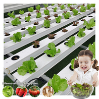 Système de culture hydroponique Nft en PVC multicouche avec canaux Hidroponia Nft pour les fermes Gully Hydroponic Nft