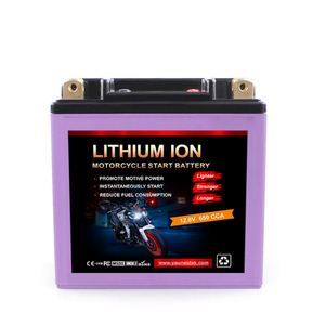Sostituisci la batteria al piombo-acido da 12.8V 30Ah con una batteria agli ioni di litio ad alte prestazioni da 12.8V 30Ah - Product Image 1