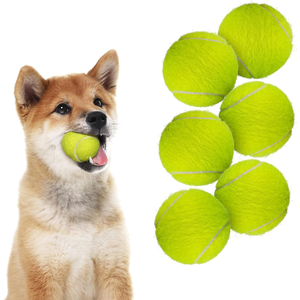 AFP Super Bouncy Durable 5cm/2 pulgadas Paquete de 6 pelotas de tenis Interactivo Pet Outdoor Fetch Training Toy para Mini Dog Ball Launcher - Product Image 1
