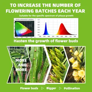 HUACHANG E26/E27 Pitaya 농업 온실 Led 성장 빛 형광 전구 전체 스펙트럼 전구 식물 성장