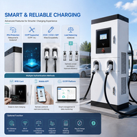 Station de recharge rapide DC 180 kW CCS1 GBT Chademo Haute Efficacité OCPP RFID IP55 Double Connecteur Bâtiment Commercial Bureaux WrightCharge