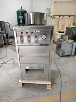 Machine électrique d'éplucheur d'oignon d'ail sec noir de haute qualité commerciale 500 Kg 2 à 3 Kg de prix