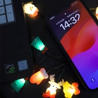 Guirlande lumineuse de Noël en forme de dessin animé, 1,4 m, 10 LED, blanc chaud, compatible avec le connecteur USB-C, câble de chargeur iPhone, IP44