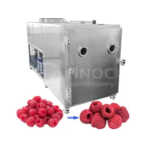 OCEAN Small Universal 100kg Freeze Dryer Trade Raspberry Sauce Starch Dry Coffee Fruit Snack Machine