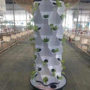 การปลูกพืชในร่มแบบแนวตั้งด้วยระบบ Aeroponic พร้อมไฟ LED สำหรับมะเขือเทศและ<span class=keywords><strong>แตงกวา</strong></span> - Product Image 4