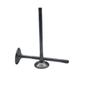 Valvola Motore Forgiata dal Produttore, Valvola di Aspirazione, Valvola di Scarico per BMW 750 <span class=keywords><strong>Li</strong></span> 4.4L N63 N63B44 S63 S63B44A 11347570163 11347570164 - Product Image 1