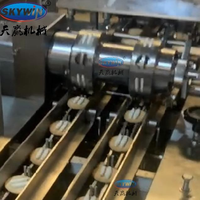 Machine à emballer horizontale entièrement automatique de flux de collations de boulangerie de biscuit de sandwich pour l'usine de biscuit
