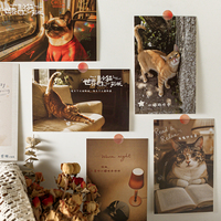 Mr.Paper – ensemble de cartes postales décoratives pour messages de camarades de classe, cadeau pour étudiants