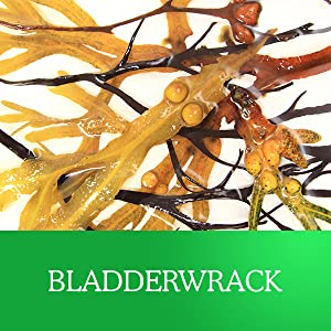 Lifeworth Private Label Dietary Supplement Organic Sugar Free Gel Gummy Candy Vegan Seamoss Gummies Vitamin c