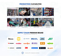 Harnais de câblage ECU personnalisés pour équipements de camions automobiles, utilisant des connecteurs TE/MOLEX/HRS/JAE