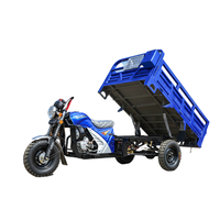 Tricycle motorisé à 3 roues à essence 200cc, démarrage électrique, 5 vitesses, capacité de charge de 400 kg, vitesse de 50-70 km/h, certifié EEC