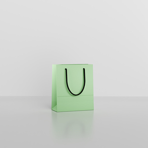 Sac en papier de luxe pour bijoux, sac cadeau de petite taille pour boutique de mariage, avec poignée en ruban, vente en gros, avec logo - Product Image 2