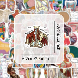 51 Uds. De pegatinas de estructura corporal para estudiantes de medicina de dibujos animados, logotipo personalizado, vinilo cortado, pegatina de guitarra, equipaje, teléfono, pegatina de Anatomía Humana - Product Image 3