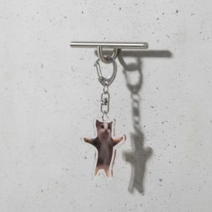 Porte-clés mignon et amusant avec motif de chat Y2k, porte-clés en forme de banane, porte-clés en acrylique tendance, porte-clés pour femmes, porte-clés imperméable et léger, breloques pour sac - Product Image 5