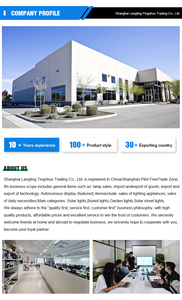 Faro LED Lineare da Esterno 2026 IP65-6 Impermeabile per Parchi, Passaggi e Centri Commerciali - Illuminazione Architetturale - Product Image 6