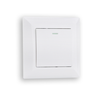 Interrupteurs à bascule étanches en gros avec indicateur lumineux 10A 250V, 1 Gang 1 Voie, 2 Gang 2 Voies, WIFI