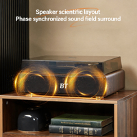 Tourne-disque multifonctionnel BT 5.3 USB Radio FM Batterie intégrée pour l'audio domestique et la décoration vintage Pour les amateurs de musique