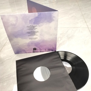 <span class=keywords><strong>Pressage</strong></span> de disque vinyle LP personnalisé de 12 pouces dans une découpe plate de 350g et un emballage de poche et de veste à pli fermé - Product Image 5
