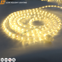 Guirlande lumineuse LED extérieure pour Noël, décoration de jardin, étanche, blanc chaud