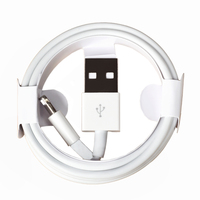 Câble de charge USB 1A 5W certifié CE FCC pour iPhone 6 7 8 X 11 12 13 14 Pro Max Mini iPad