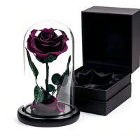 Roses noires préservées sous cloche en verre, fleurs préservées de taille moyenne en provenance de Chine, coffret cadeau pour femmes