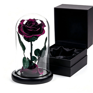 Roses noires préservées sous cloche en verre, fleurs préservées <span class=keywords><strong>de</strong></span> taille moyenne en provenance <span class=keywords><strong>de</strong></span> Chine, coffret cadeau pour femmes - Product Image 4