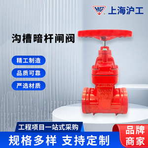 Válvula de Compuerta de Hierro Dúctil con Vástago Ranurado Oculto Hg Shanghai Workers DN100 PN16 con Sello Blando para Agua y Aire - Product Image 5