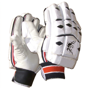 <b>Cricket</b> Batting Product - Product Image 1