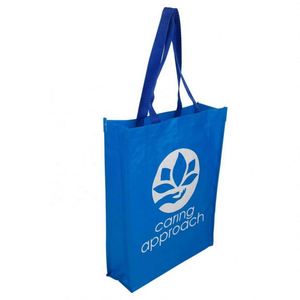 โรงงานผลิตถุงช้อปปิ้งเคลือบลามิเนตแบบกำหนดเอง ถุงผ้า PP ลายการ์ตูนสำหรับโปรโมชั่น - Product Image 2