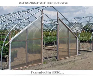 Walk in gothic single span polytunnel agricultural commercial indoor cultivation tunnel greenhouse green house for agriculture