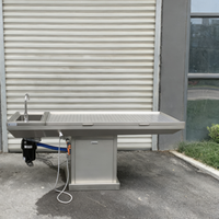 Table de dissection en acier inoxydable de conception nouvelle, résistante à la rouille, banc de dissection en acier inoxydable, autopsie pour laboratoire de pathologie