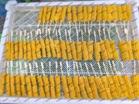 Brochetas de Maíz Congeladas Certificadas HACCP, BRC y ISO22000, IQF para Asar y Procesamiento de Alimentos